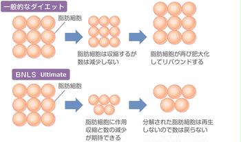 脂肪分解作用がアップしたBNLS Ultimateの効果と成分・鼻やあごの注射