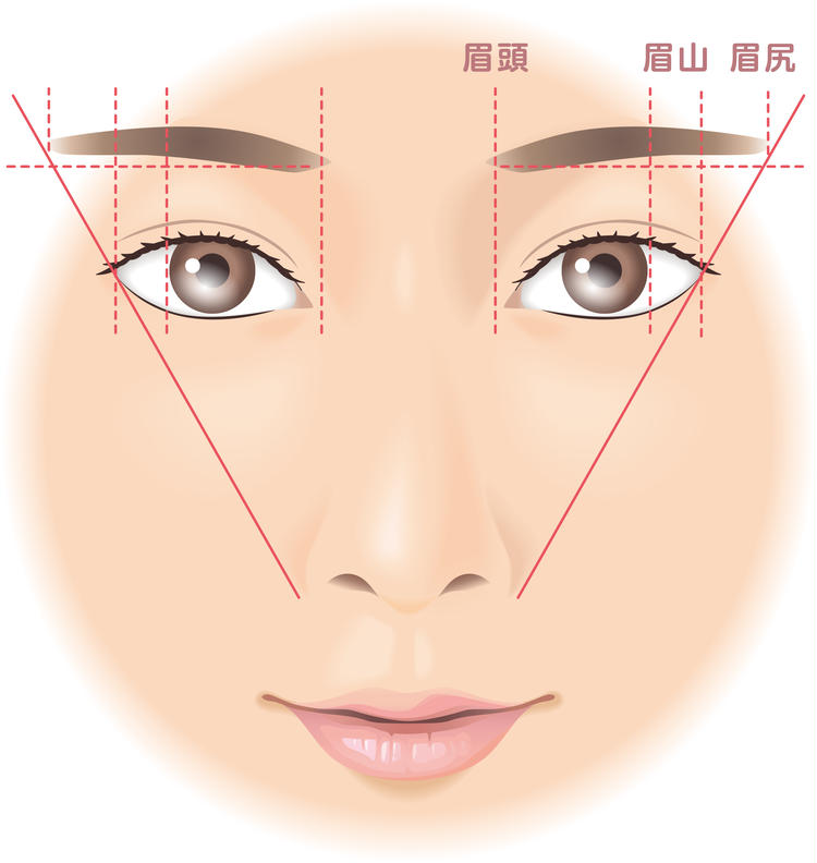 Illustration showing the golden ratio of the eyebrows